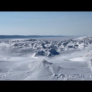 Meet your Posher, Brauna